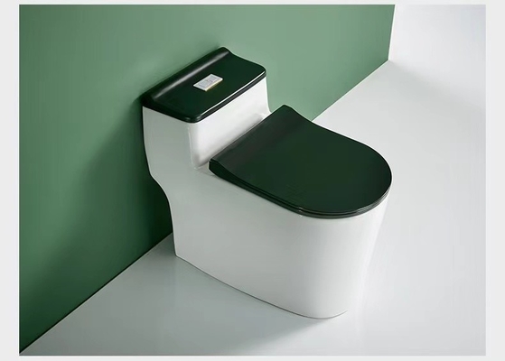 Piso sanitario rasante dual de una pieza del retrete de las mercancías - montó el diseño 3D