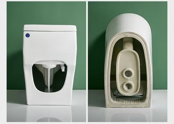 Piso sanitario rasante dual de una pieza del retrete de las mercancías - montó el diseño 3D