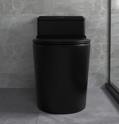 Sifón que limpia sistemas de cerámica del cuarto de baño con un chorro de agua de Matte Black Toilet One Piece