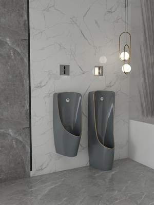 La una pieza detrás perfora el cuenco montado en la pared Grey Gold Color del orinal