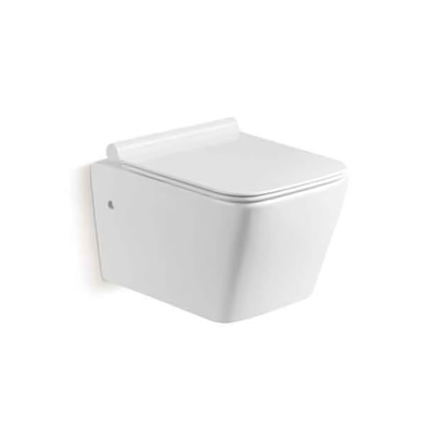 Pared sin rebordes Hung Toilet Gravity Flushing del acuerdo blanco del color