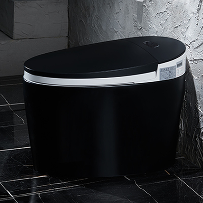 Limpieza de uno mismo inteligente elegante Tankless de cerámica de Siphonic del retrete