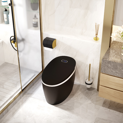 Ahorro de energía inteligente elegante automático de limpieza de uno mismo del retrete que limpia con un chorro de agua